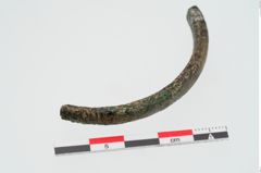 Foto von Bronzearmreif (NHMW-PRAE-024409)
